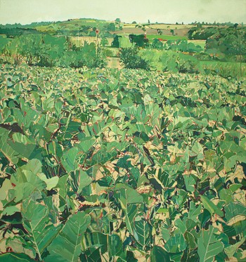 Louis Turpin View From The Studio, Cabbage Field, 1979
