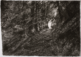 The Way Home, charcoal on handmade paper 45x58cm - £590