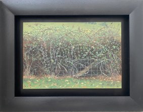 Bramble Bush Study, oil on board, 32x42cm inc. frame - £395