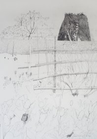 Tulips In The High Garden, pencil on paper, 25x18" - £1,600
