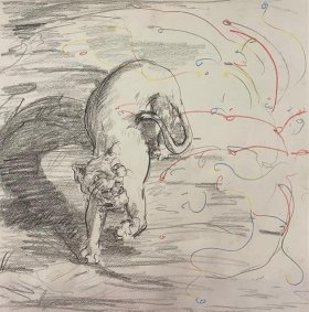 Lioness Surprised by Fireworks, 2019, pencil on paper, 32x32cm unframed - £300