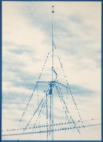 Starlings Gathering. Rye Harbour, cyanotype print - £150 NOW SOLD