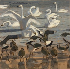 Lapwings and Bewick’s Swans, oil on board - £850