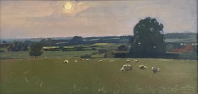 Early Evening with Sheep, Ebony, oil on board  - £875