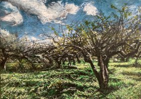 Old Orchard At Burwash, oil pastel on board, 25.5x32.1cm inc. frame - £460